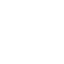 N13